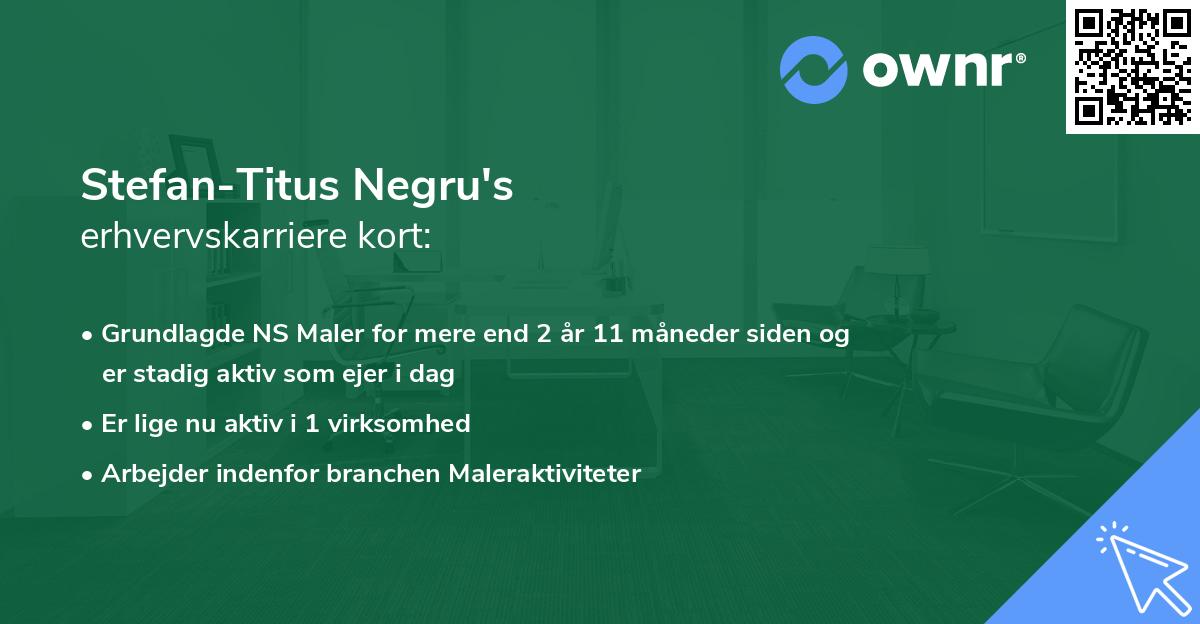 Stefan-Titus Negru's erhvervskarriere kort