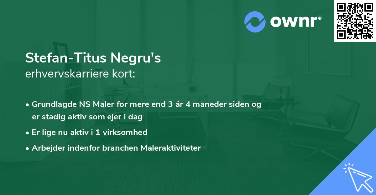 Stefan-Titus Negru's erhvervskarriere kort