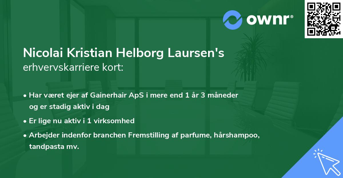Nicolai Kristian Helborg Laursen's erhvervskarriere kort