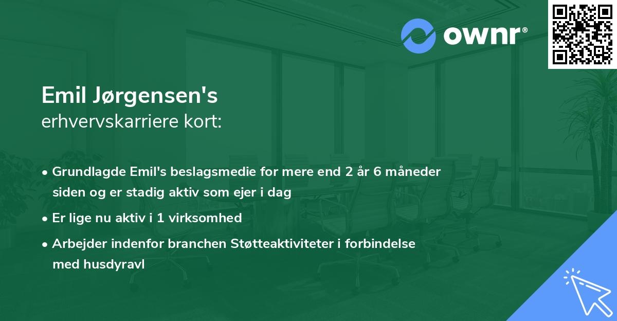 Emil Jørgensen's erhvervskarriere kort