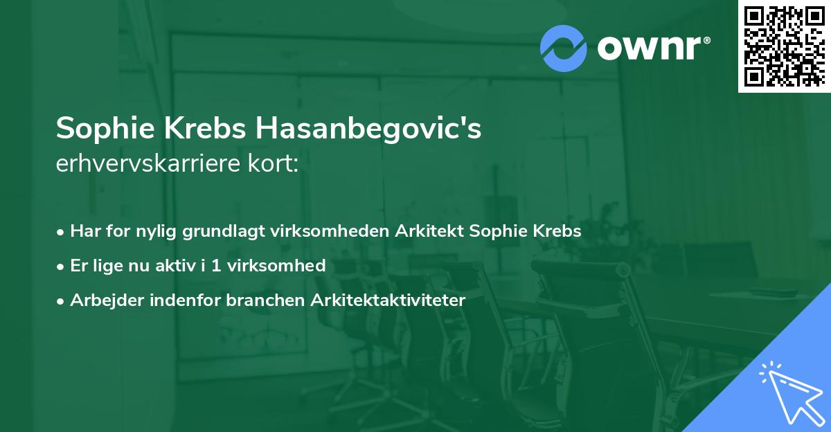 Sophie Krebs Hasanbegovic's erhvervskarriere kort