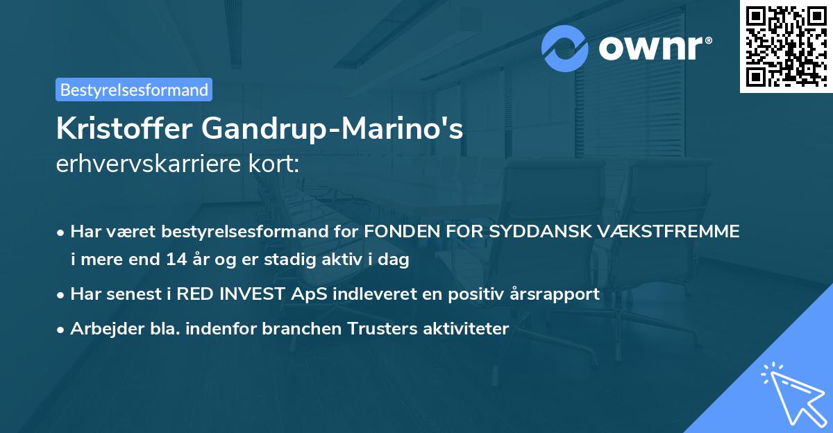 Kristoffer Gandrup-Marino's erhvervskarriere kort