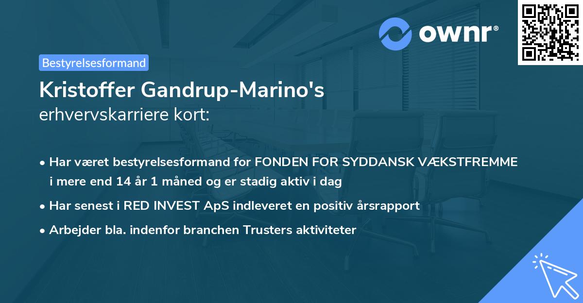 Kristoffer Gandrup-Marino's erhvervskarriere kort