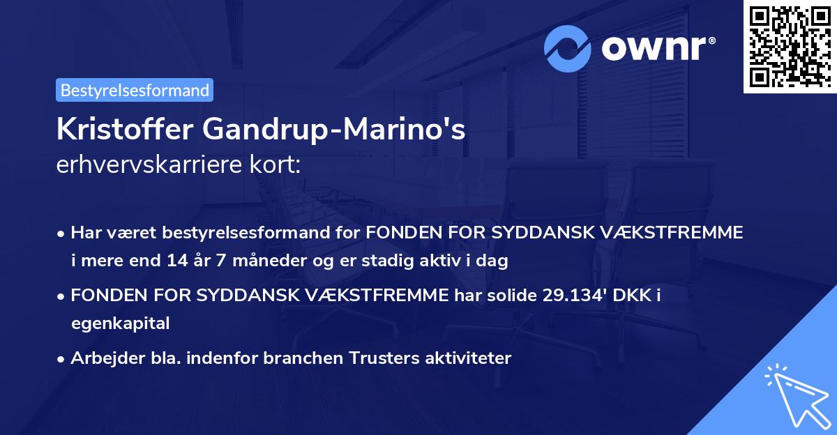 Kristoffer Gandrup-Marino's erhvervskarriere kort