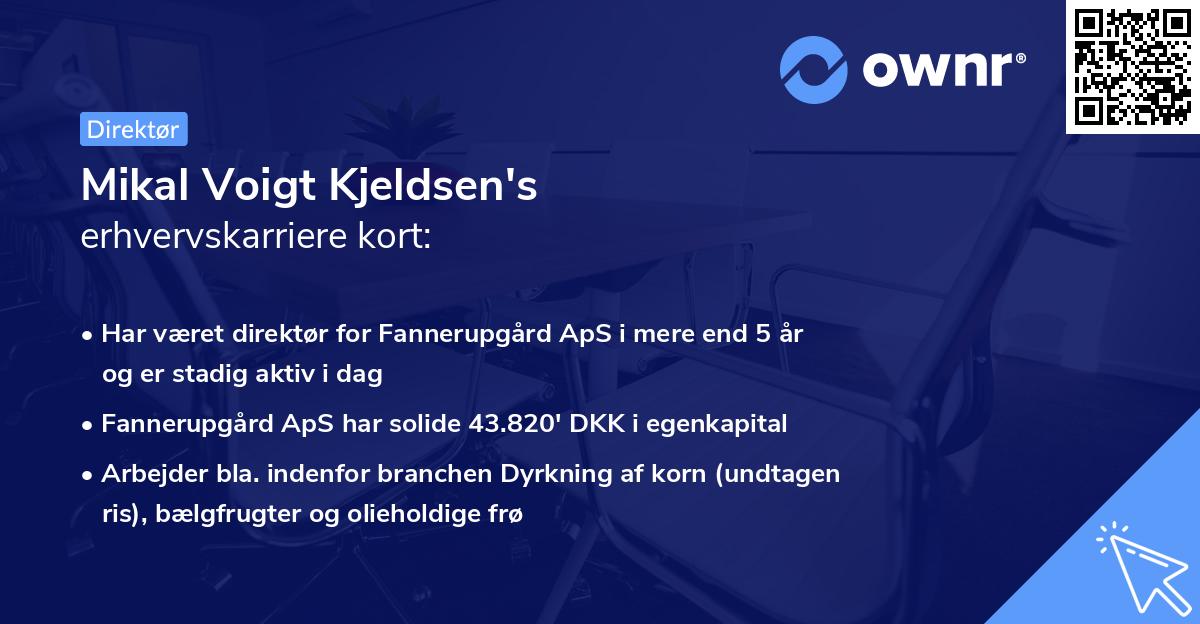 Mikal Voigt Kjeldsen's erhvervskarriere kort