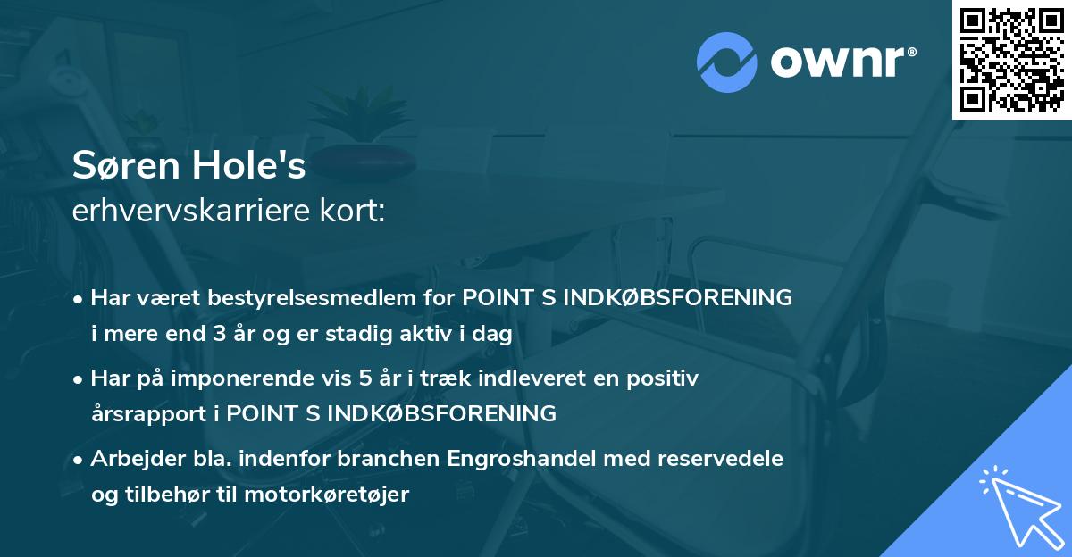 Søren Hole's erhvervskarriere kort