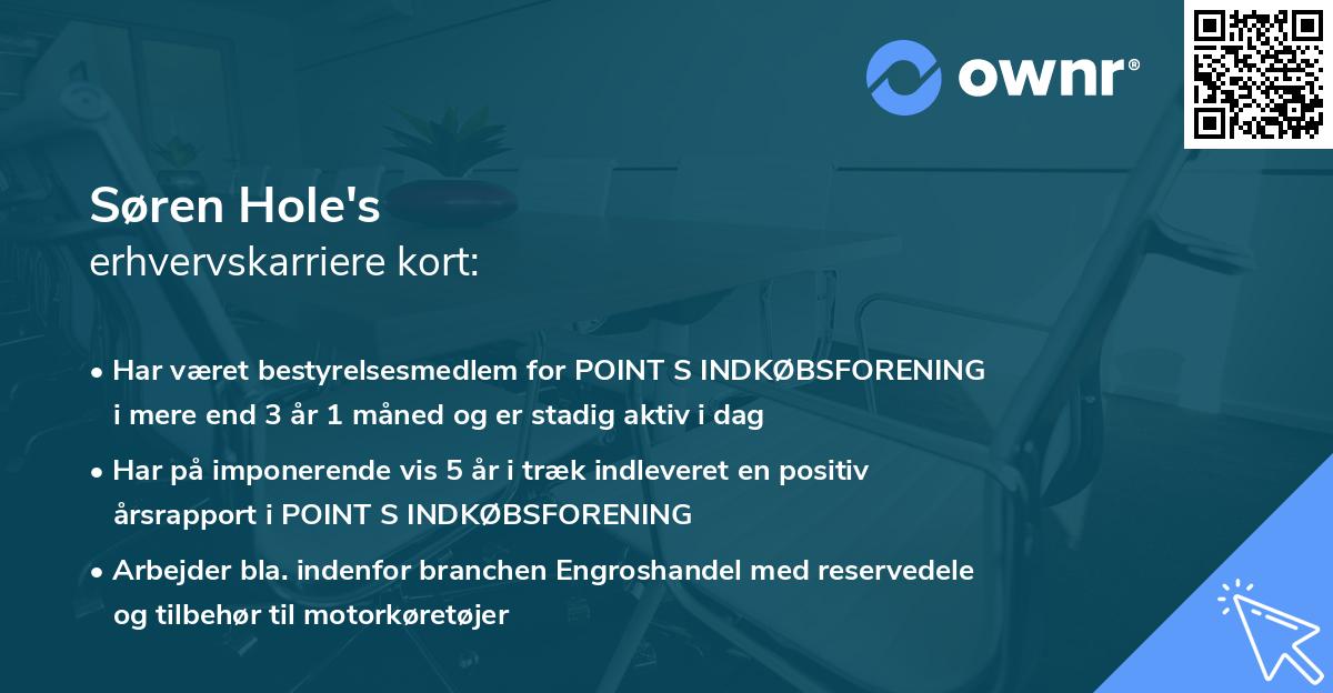 Søren Hole's erhvervskarriere kort
