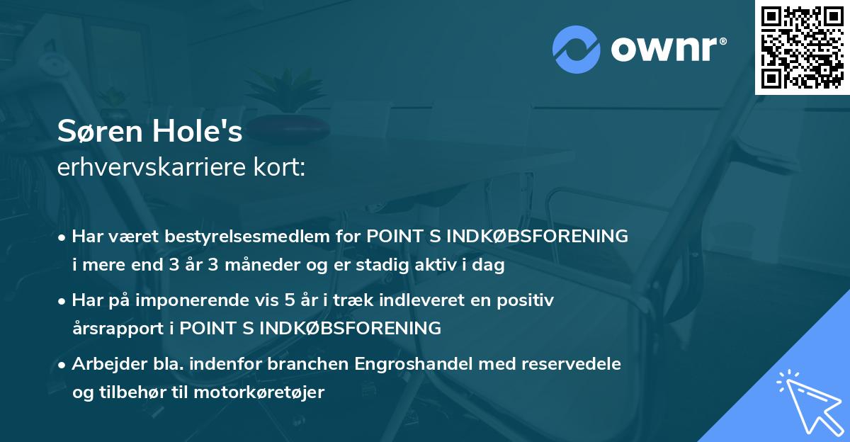 Søren Hole's erhvervskarriere kort