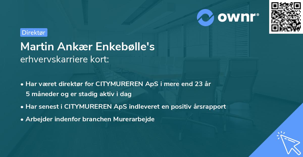 Martin Ankær Enkebølle's erhvervskarriere kort
