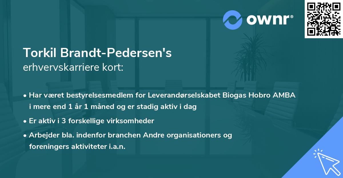 Torkil Brandt-Pedersen's erhvervskarriere kort