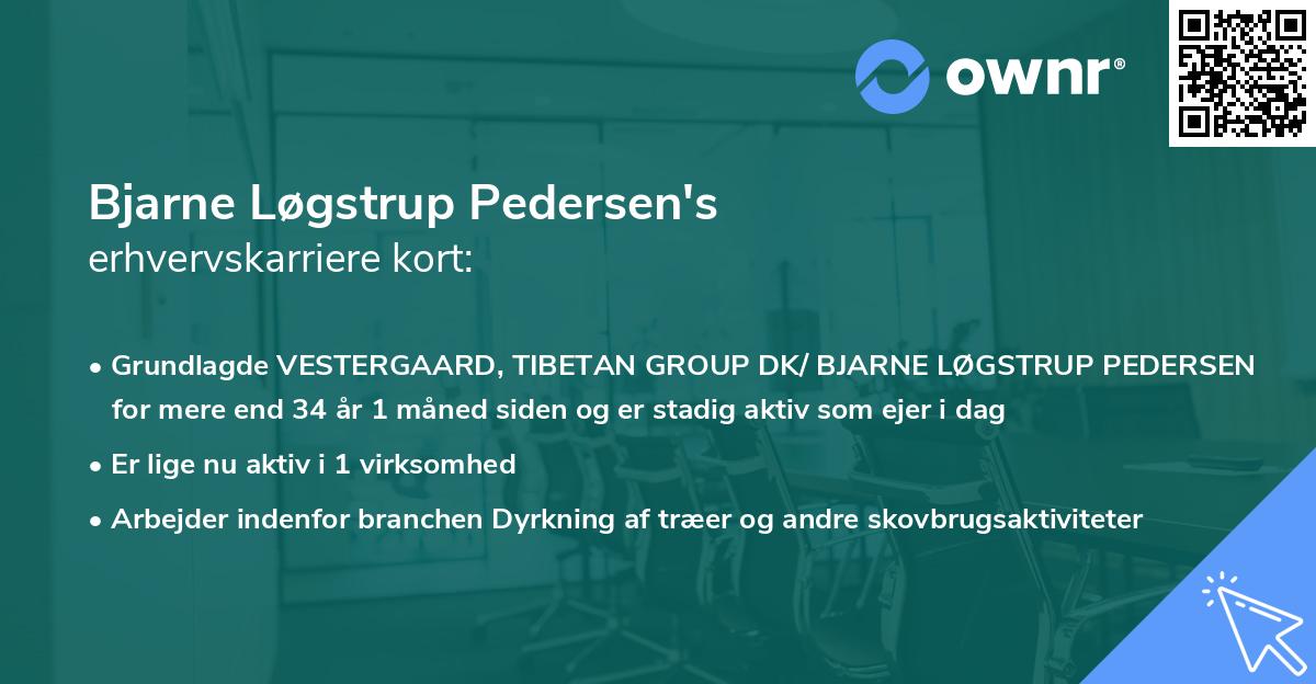 Bjarne Løgstrup Pedersen's erhvervskarriere kort