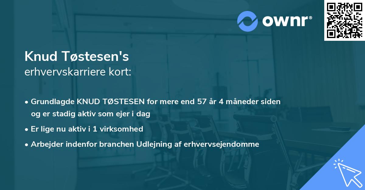 Knud Tøstesen's erhvervskarriere kort