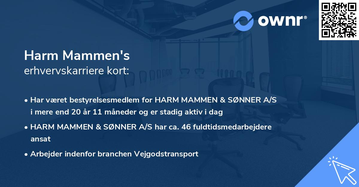 Harm Mammen's erhvervskarriere kort