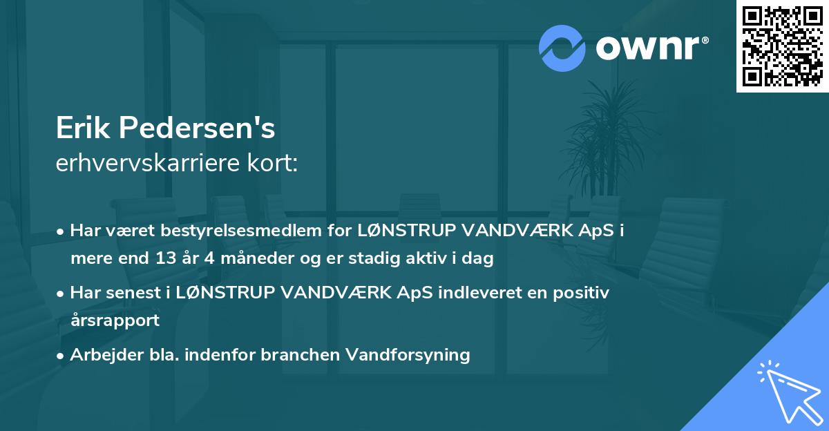 Erik Pedersen's erhvervskarriere kort