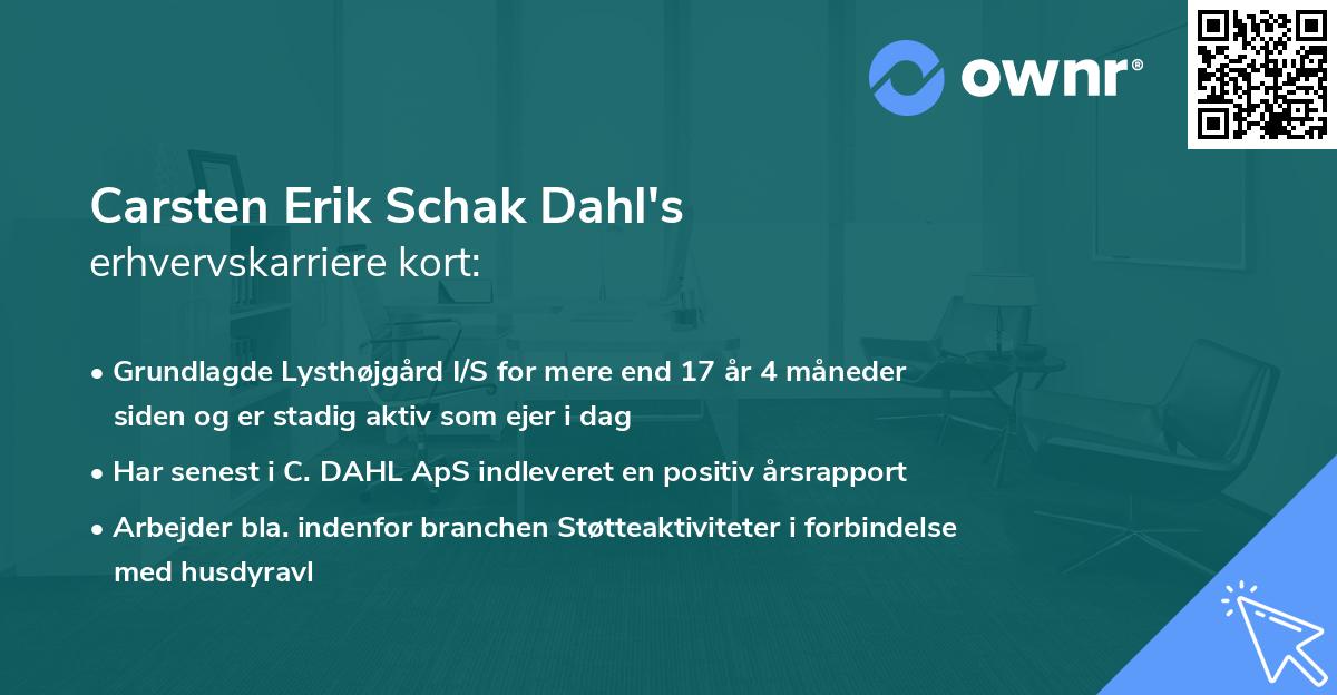 Carsten Erik Schak Dahl's erhvervskarriere kort