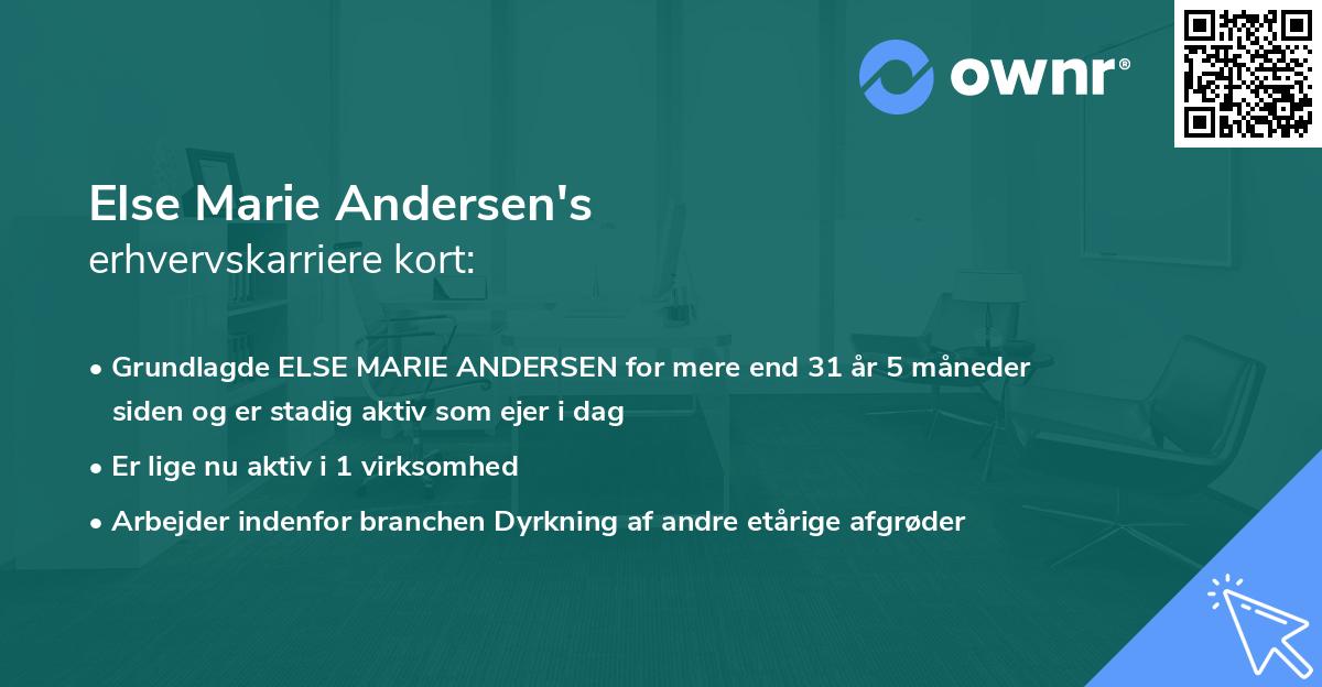 Else Marie Andersen's erhvervskarriere kort