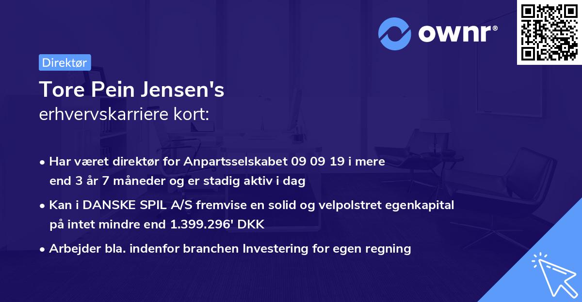 Tore Pein Jensen's erhvervskarriere kort