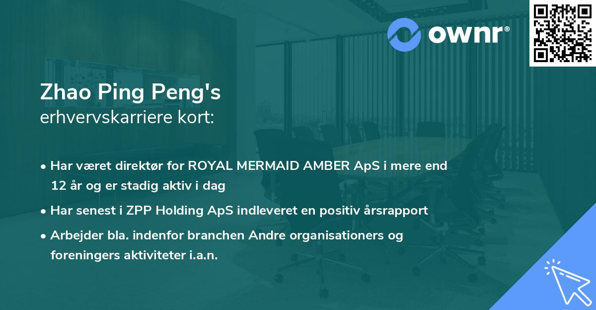 Zhao Ping Peng's erhvervskarriere kort