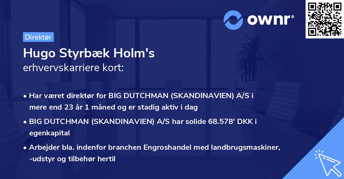 Hugo Styrbæk Holm's erhvervskarriere kort