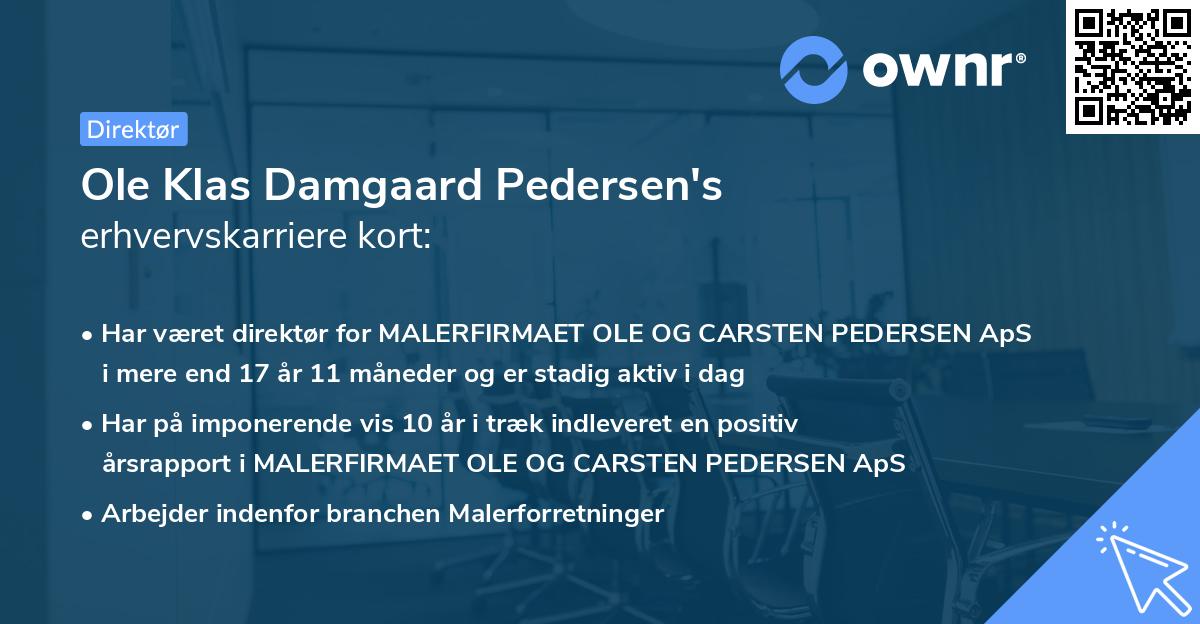 Ole Klas Damgaard Pedersen's erhvervskarriere kort
