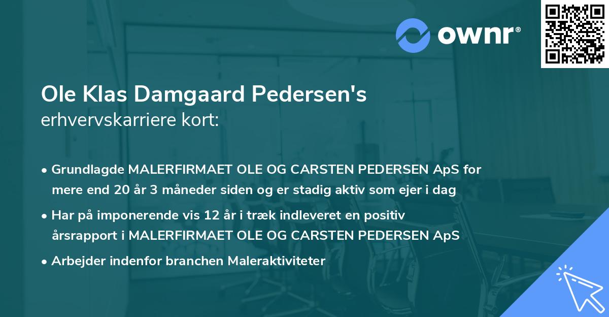 Ole Klas Damgaard Pedersen's erhvervskarriere kort