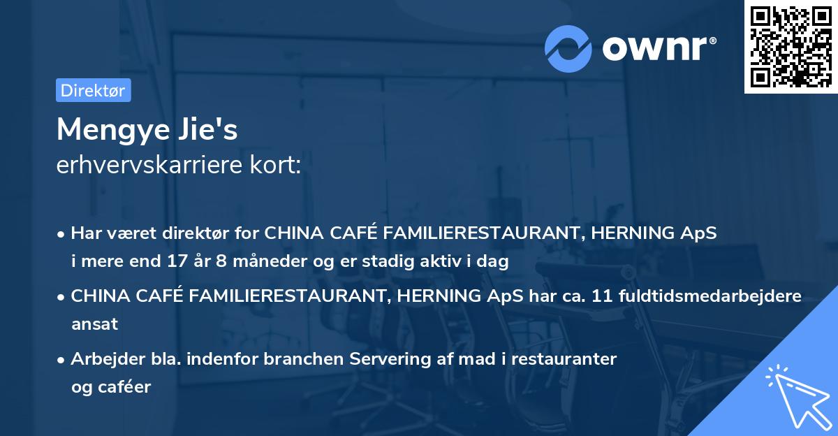 Mengye Jie's erhvervskarriere kort