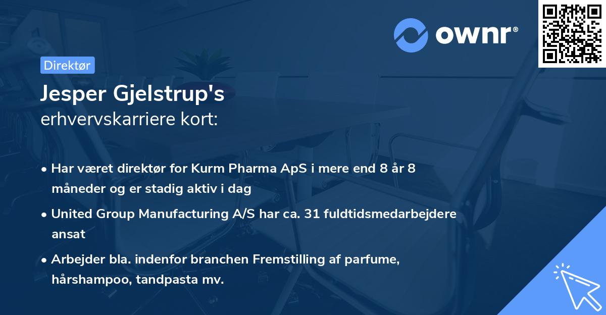Jesper Gjelstrup's erhvervskarriere kort