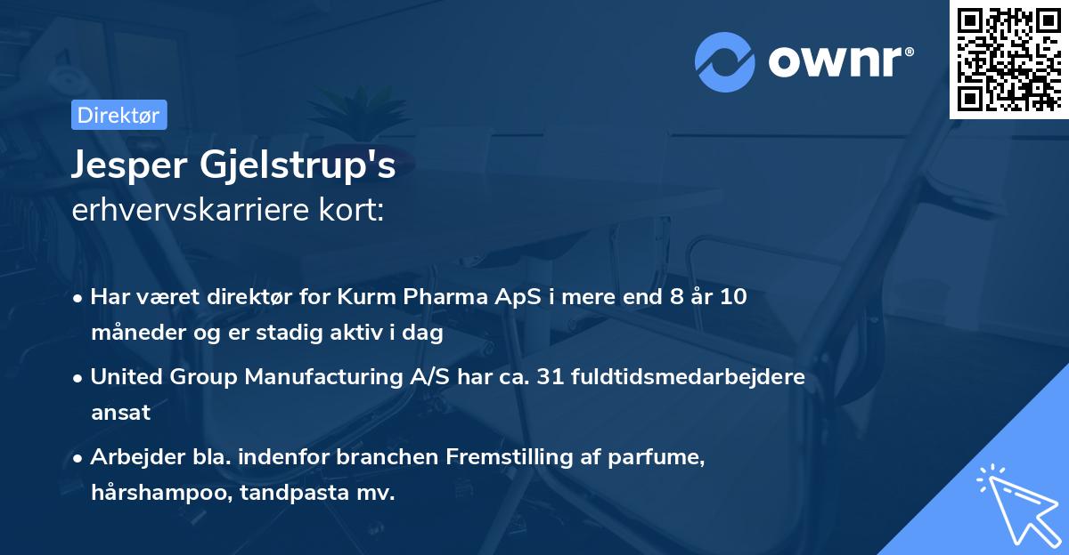 Jesper Gjelstrup's erhvervskarriere kort