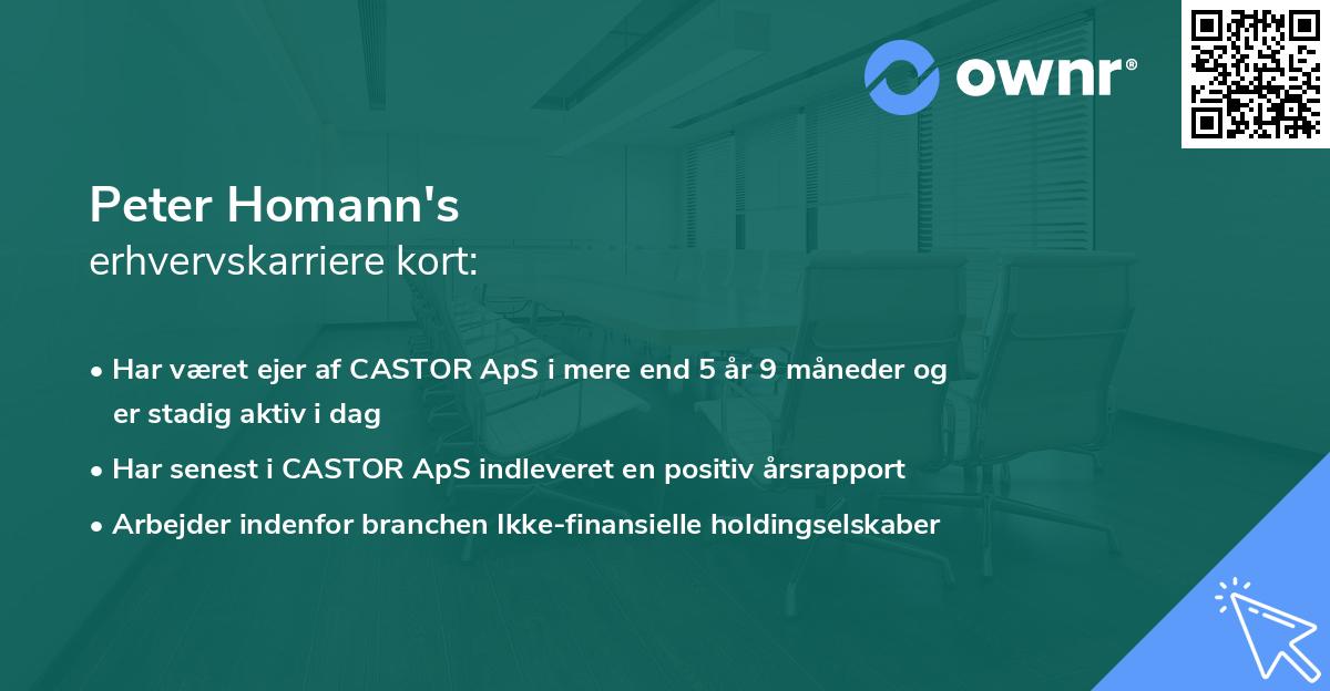 Peter Homann's erhvervskarriere kort