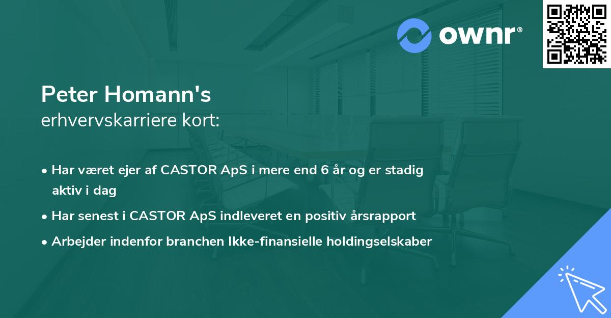 Peter Homann's erhvervskarriere kort