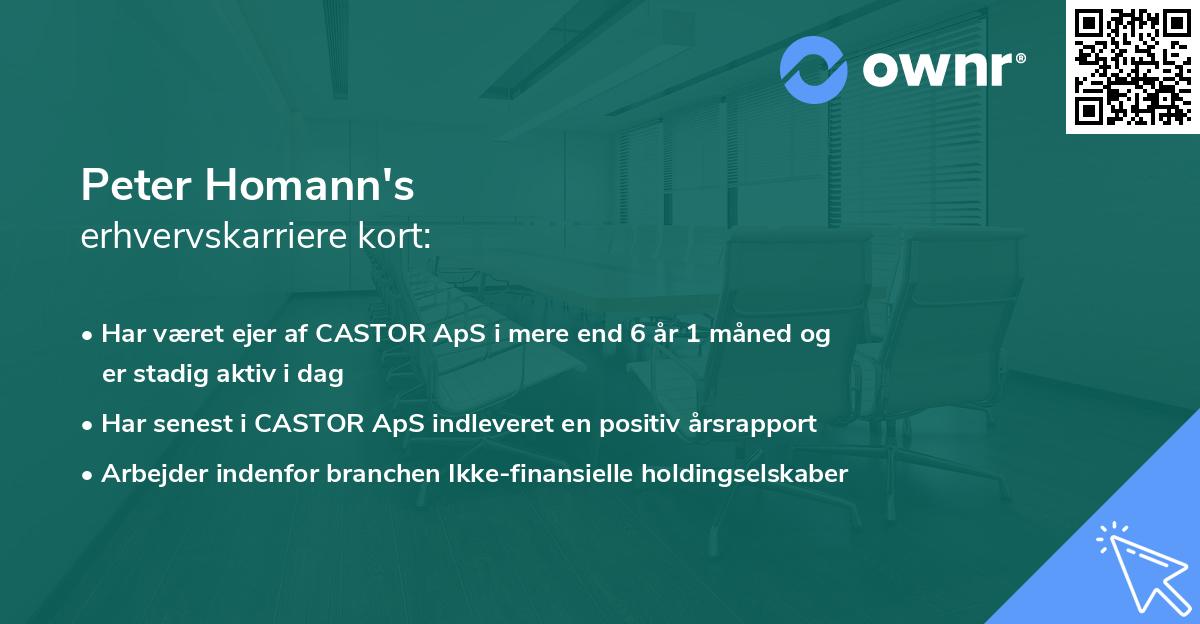 Peter Homann's erhvervskarriere kort