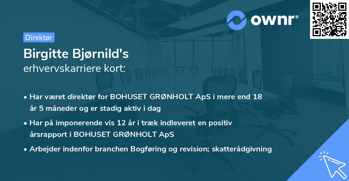 Birgitte Bjørnild's erhvervskarriere kort