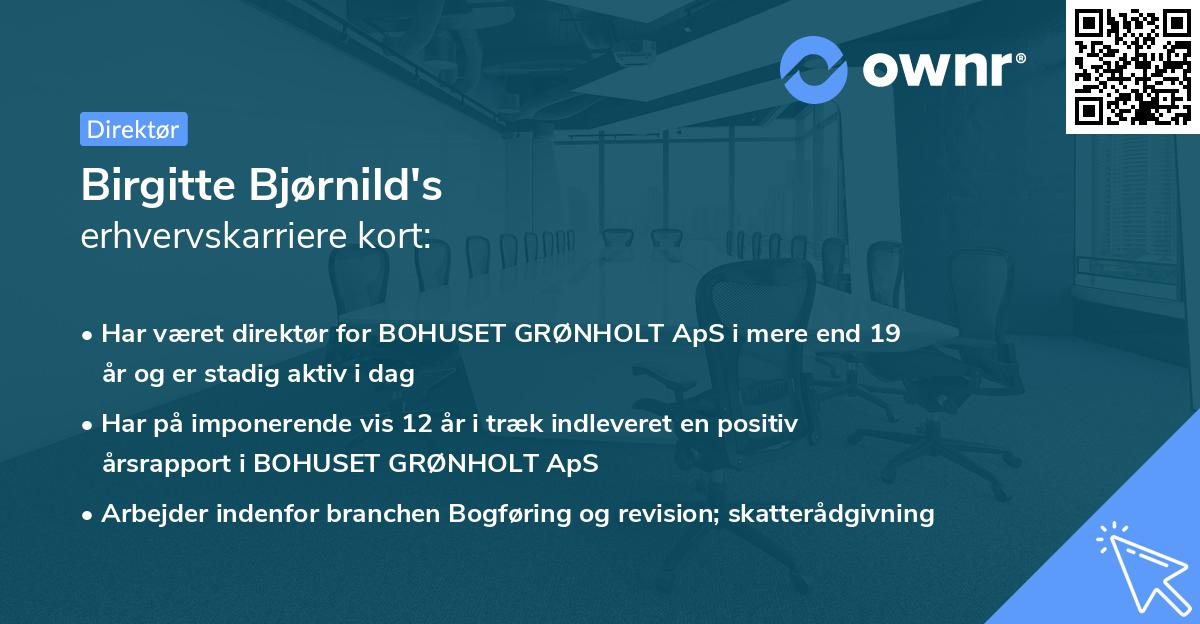 Birgitte Bjørnild's erhvervskarriere kort