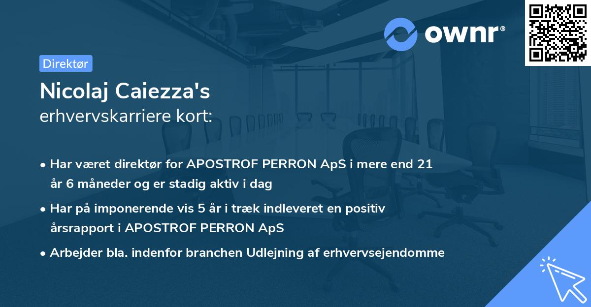 Nicolaj Caiezza's erhvervskarriere kort