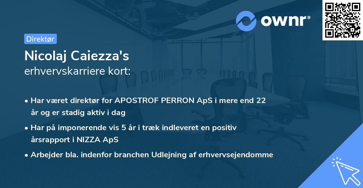 Nicolaj Caiezza's erhvervskarriere kort