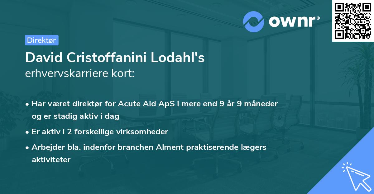 David Cristoffanini Lodahl's erhvervskarriere kort