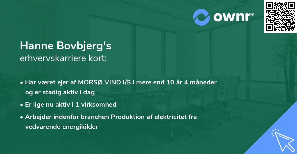 Hanne Bovbjerg's erhvervskarriere kort