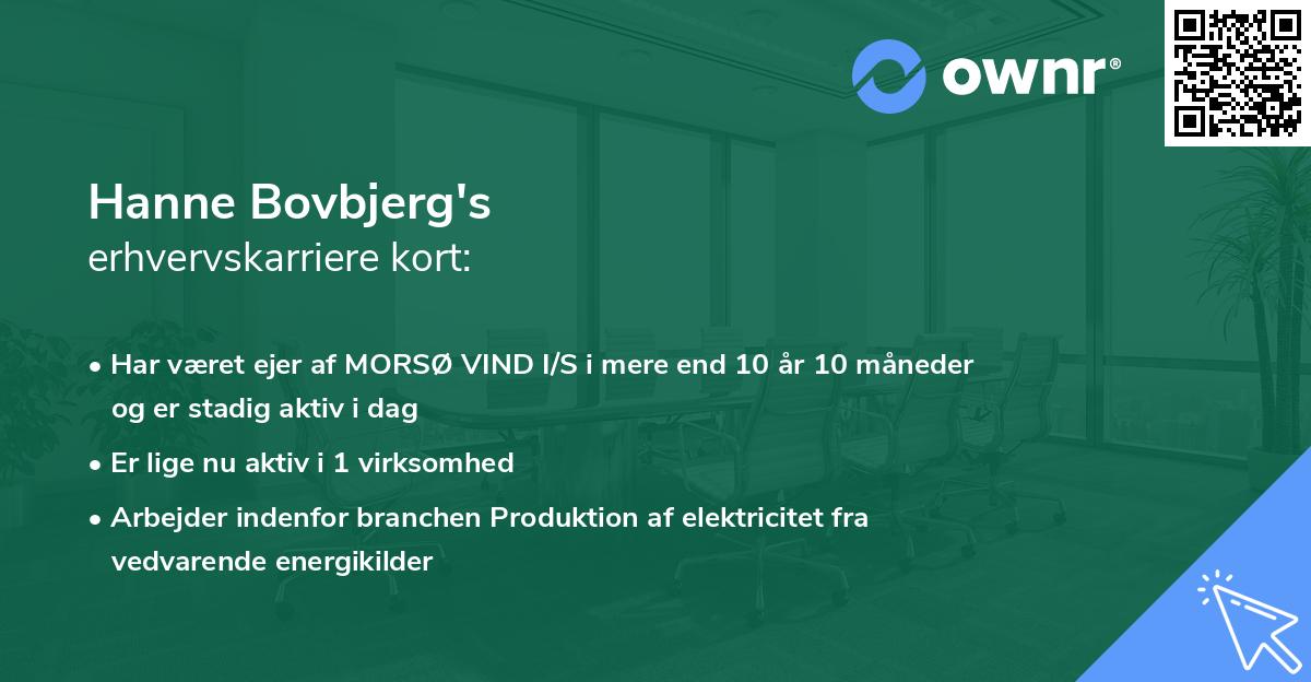 Hanne Bovbjerg's erhvervskarriere kort