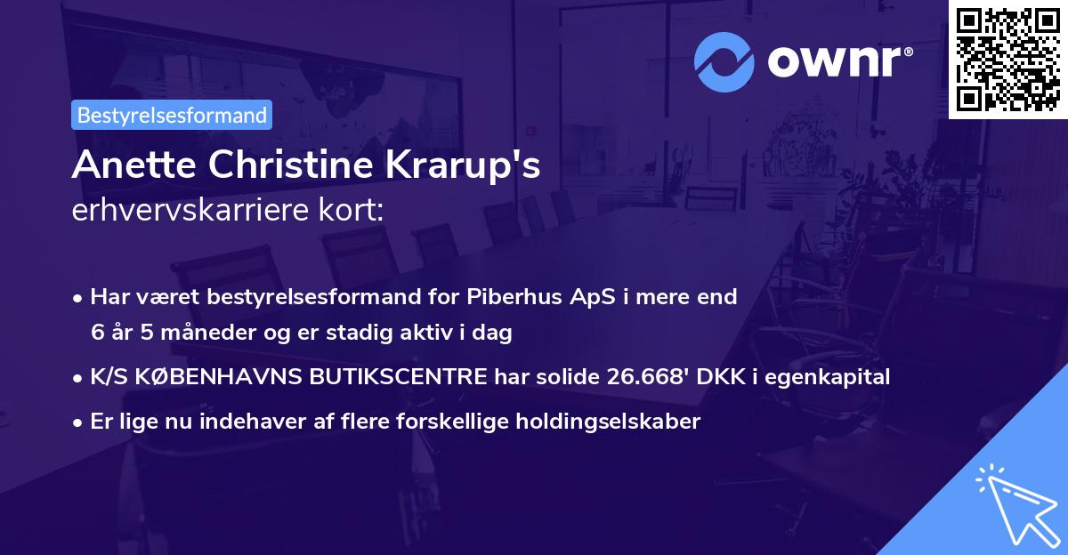 Anette Christine Krarup's erhvervskarriere kort