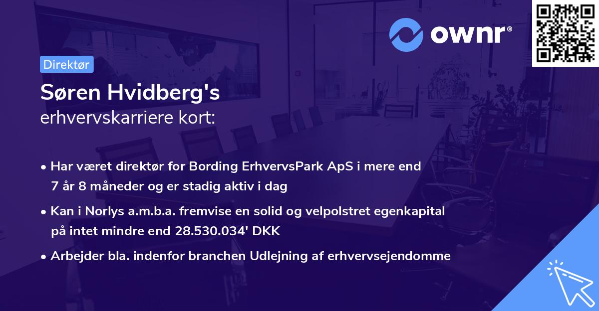 Søren Hvidberg's erhvervskarriere kort