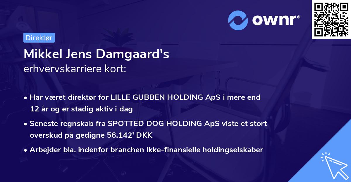 Mikkel Jens Damgaard's erhvervskarriere kort