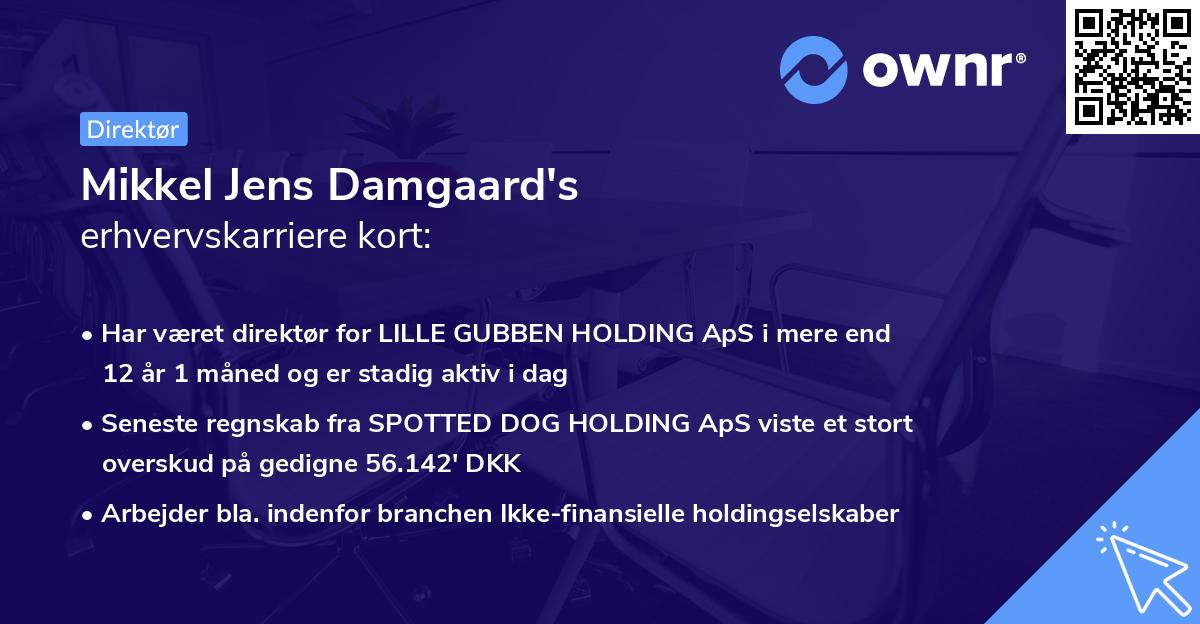 Mikkel Jens Damgaard's erhvervskarriere kort