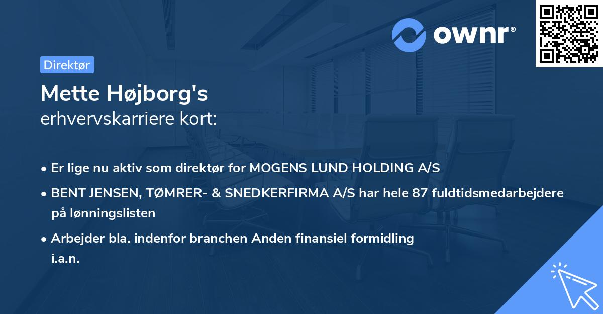 Mette Højborg's erhvervskarriere kort