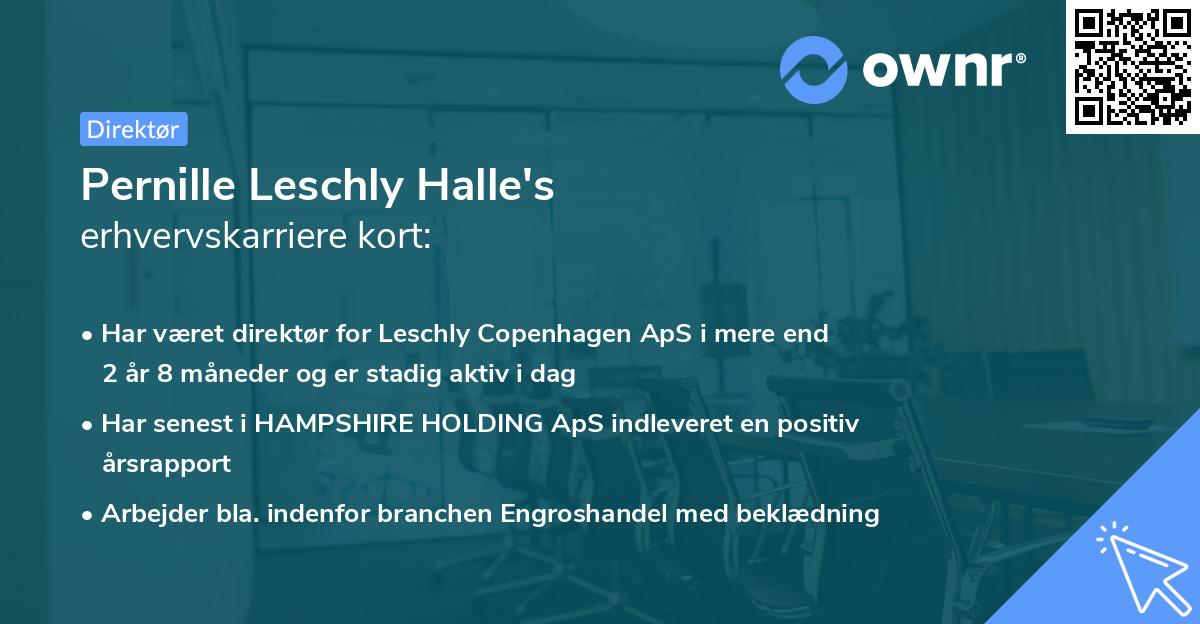 Pernille Leschly Halle's erhvervskarriere kort