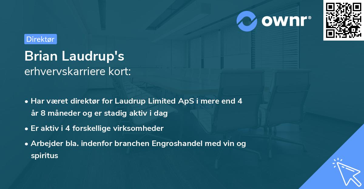 Brian Laudrup's erhvervskarriere kort