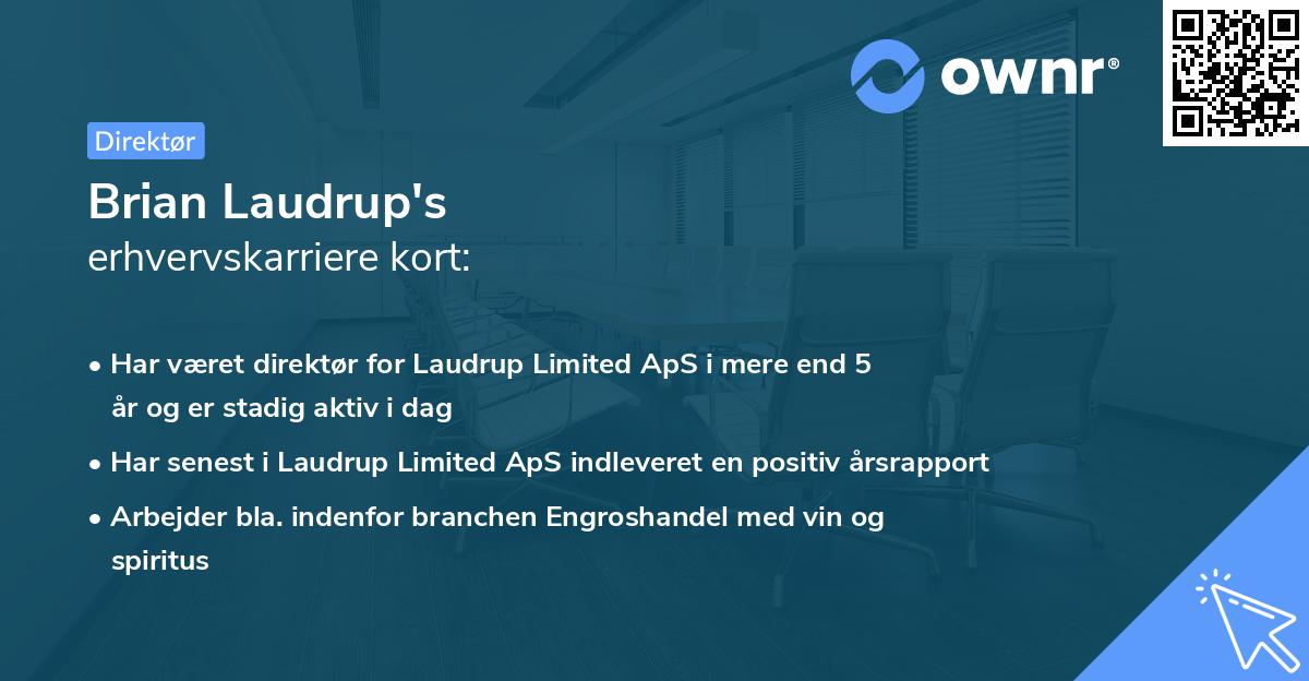 Brian Laudrup's erhvervskarriere kort