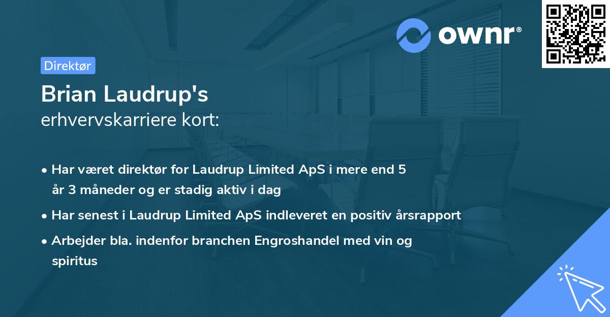 Brian Laudrup's erhvervskarriere kort