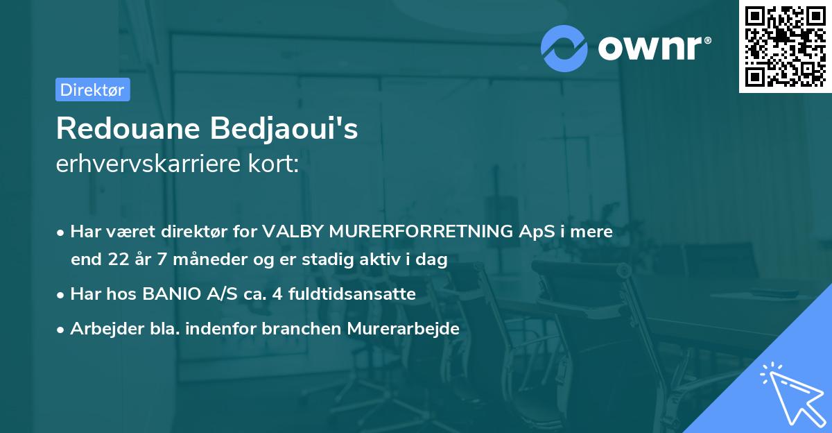Redouane Bedjaoui's erhvervskarriere kort