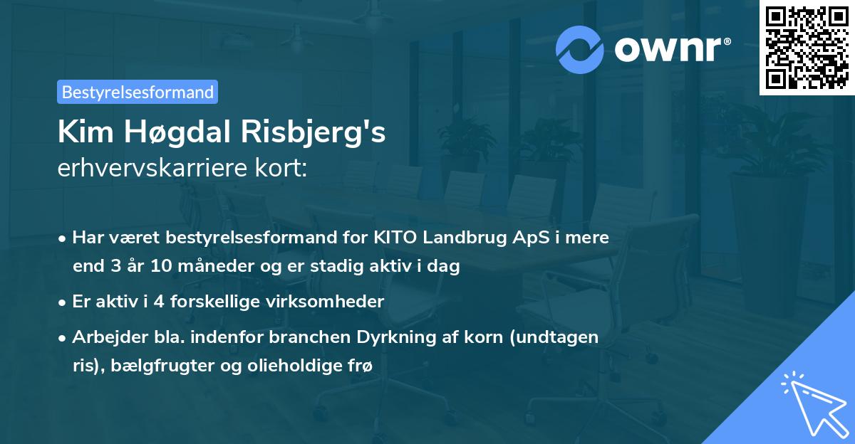 Kim Høgdal Risbjerg's erhvervskarriere kort
