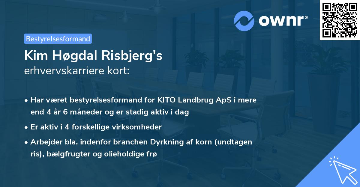 Kim Høgdal Risbjerg's erhvervskarriere kort